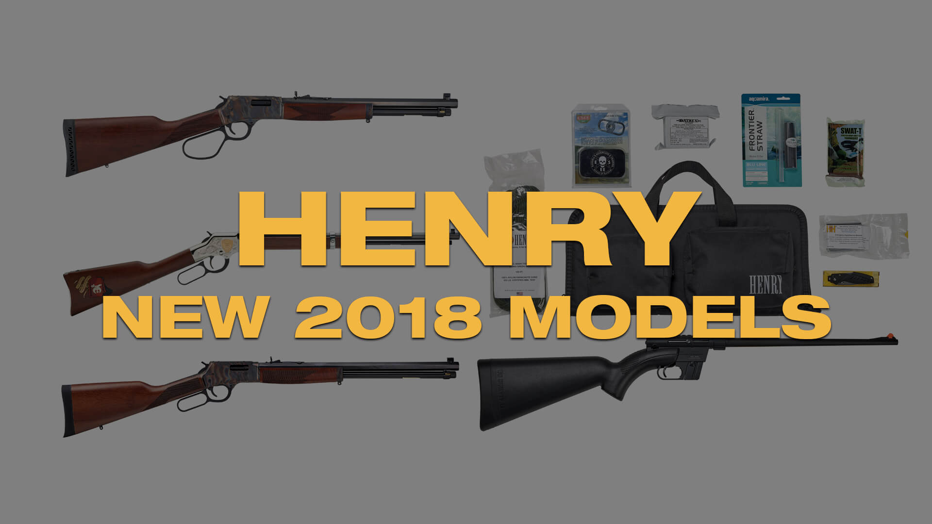 henry serial number search